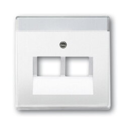 Busch-Jaeger 1803-02-84 Zentralscheibe