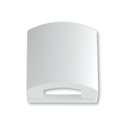 Busch-Jaeger 1746-84 Zentralscheibe