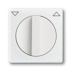 Busch-Jaeger 1740-84 Zentralscheibe