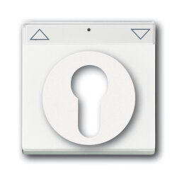 Busch-Jaeger 1755 SL/PZ-84-101 Zentralscheibe