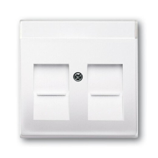 Busch-Jaeger 1800-84 Zentralscheibe