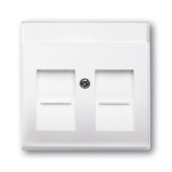 Busch-Jaeger 1800-84 Zentralscheibe