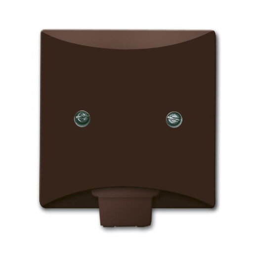 Busch-Jaeger 2133-31 AW44 Zentralscheibe