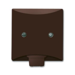 Busch-Jaeger 2133-31 AW44 Zentralscheibe