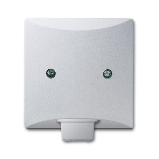 Busch-Jaeger 2133-33 AW44 Zentralscheibe