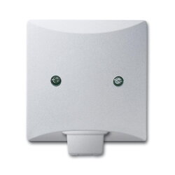 Busch-Jaeger 2133-33 AW44 Zentralscheibe