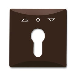 Busch-Jaeger 2155 PZ-31 AW44 Zentralscheibe