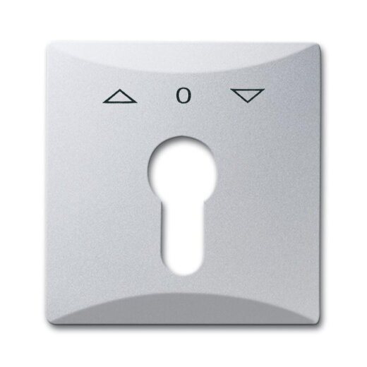 Busch-Jaeger 2155 PZ-33 AW44 Zentralscheibe