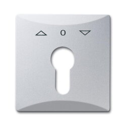 Busch-Jaeger 2155 PZ-33 AW44 Zentralscheibe