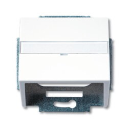 Busch-Jaeger 1758-84 Zentralscheibe