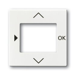 Busch-Jaeger 6435-84 Zentralscheibe