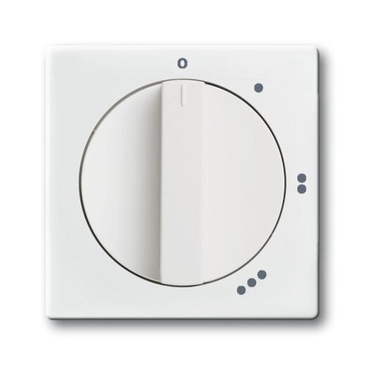 Busch-Jaeger 2542 DR/01-84 Zentralscheibe