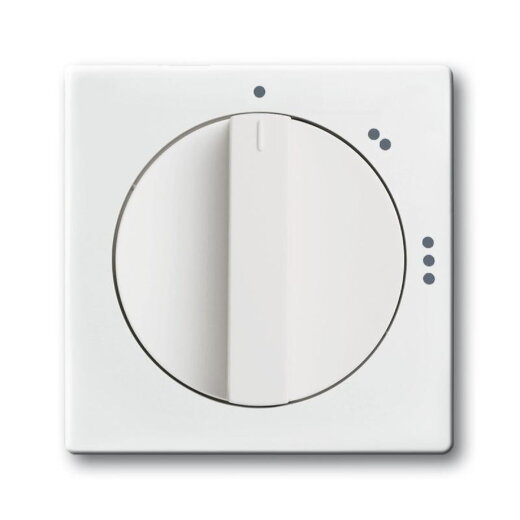 Busch-Jaeger 2542 DR/02-84 Zentralscheibe