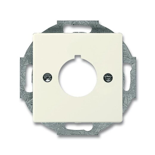 Busch-Jaeger 2533-82 Zentralscheibe