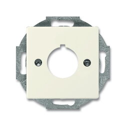 Busch-Jaeger 2533-82 Zentralscheibe