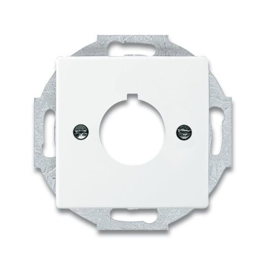 Busch-Jaeger 2533-84 Zentralscheibe