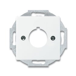 Busch-Jaeger 2533-84 Zentralscheibe