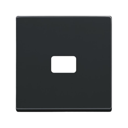 Busch-Jaeger 1720-81 Zentralscheibe