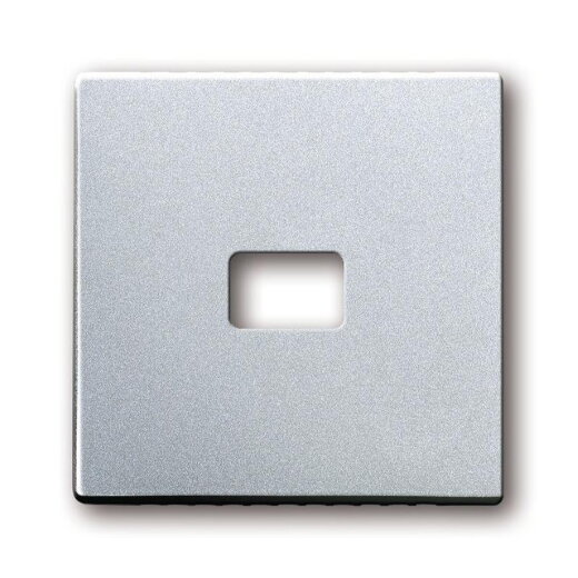 Busch-Jaeger 1720-83 Zentralscheibe