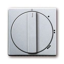 Busch-Jaeger 2542 DR/01-83 Zentralscheibe