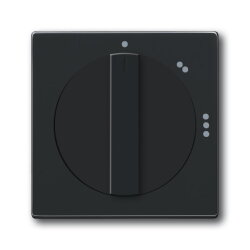 Busch-Jaeger 2542 DR/02-81 Zentralscheibe