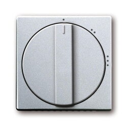 Busch-Jaeger 2542 DR/02-83 Zentralscheibe