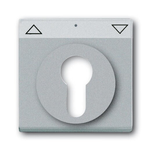 Busch-Jaeger 1755 SL/PZ-83-101 Zentralscheibe