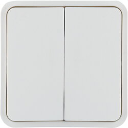 Berker Wippe 2fach polarweiss 30553542