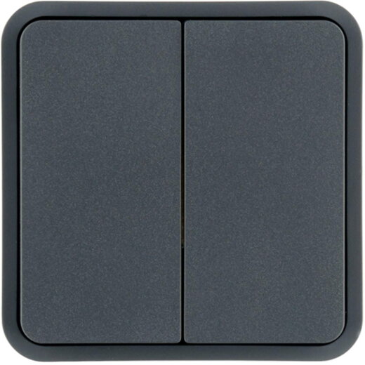 Berker Wippe 2fach grau 30553545