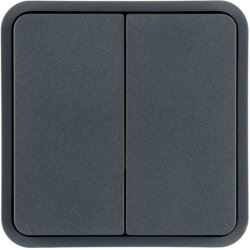 Berker Wippe 2fach grau 30553545