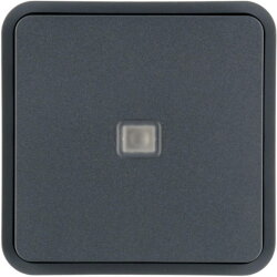 Berker Wippe 1fach mit einer Linse grau 30863545