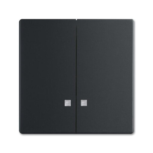 Busch-Jaeger Wippe 1785 K-885