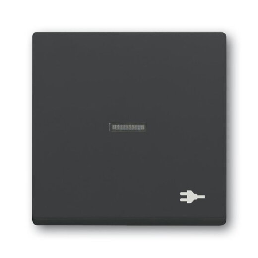 Busch-Jaeger Wippe 1789 ST-81 Kalotte transp. Sym. Stecker