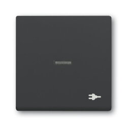 Busch-Jaeger Wippe 1789 ST-81 Kalotte transp. Sym. Stecker