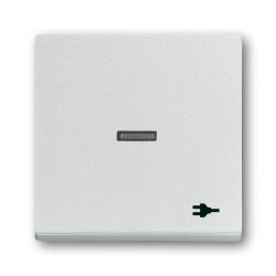 Busch-Jaeger Wippe 1789 ST-83 Kalotte transp. Sym. Stecker