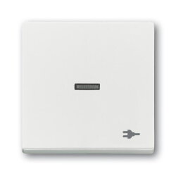 Busch-Jaeger Wippe 1789 ST-884 Kalotte transp. Sym. Stecker