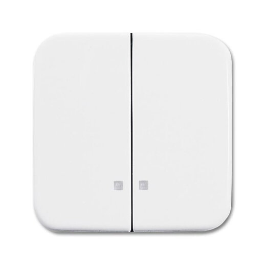 Busch-Jaeger Wippe 2505 K-214