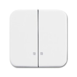 Busch-Jaeger Wippe 2505 K-214