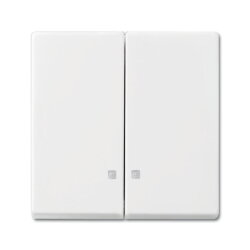 Busch-Jaeger Wippe 2505 K-914