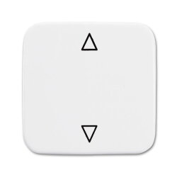 Busch-Jaeger Wippe 2506 JA/02-214