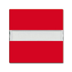 Busch-Jaeger Wippe 2510 NLI-917 Beschriftungsfeld rot