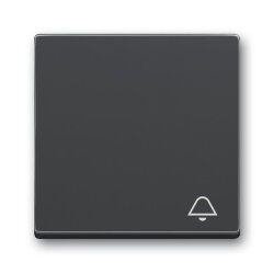 Busch-Jaeger Wippe 2520 KI-81 Symbol Klingel