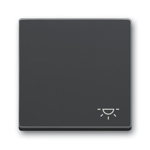 Busch-Jaeger Wippe 2520 LI-81 Symbol Licht