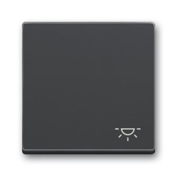 Busch-Jaeger Wippe 2520 LI-81 Symbol Licht