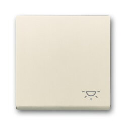 Busch-Jaeger Wippe 2520 LI-82 Symbol Licht