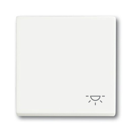 Busch-Jaeger Wippe 2520 LI-884 Symbol Licht