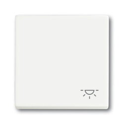 Busch-Jaeger Wippe 2520 LI-884 Symbol Licht