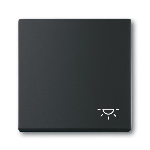 Busch-Jaeger Wippe 2520 LI-885 Symbol Licht