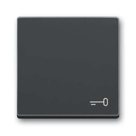 Busch-Jaeger Wippe 2520 TR-81 Symbol Schlüssel