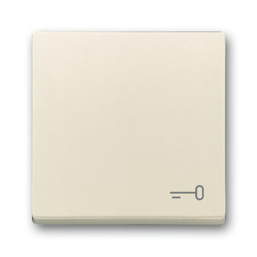 Busch-Jaeger Wippe 2520 TR-82 Symbol Schlüssel